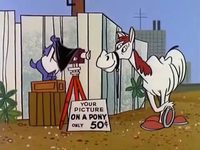   (1961-1962) 
