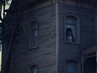  XXX (2024) -  7