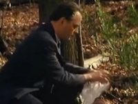 5   (1999) 
