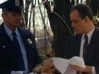 5   (1999) 
