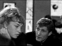     (1966)