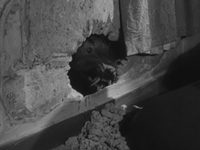- (1959)