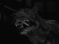 - (1959) -  11