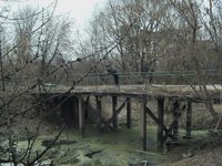 1210 (2012) -  1