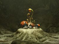  2 (2018) 

