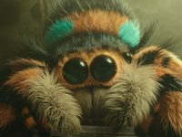  2 (2018) 
