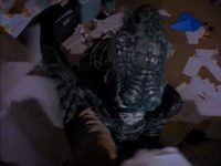  2 :   (1995)