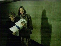      (1986) 
