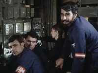   (1981)