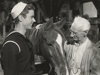   (1946)