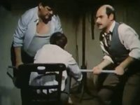   (1979) 
