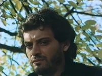  - (1981) -  4
