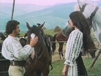  - (1981) -  6