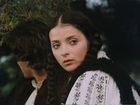  - (1981) -  13