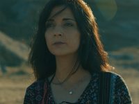 ,     (2017) 
