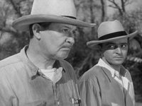   (1948)