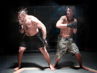 (2010)