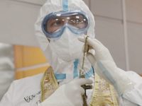   (2022) 
