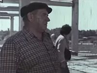     (1977) -  15