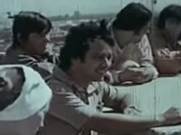     (1977)