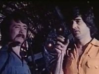    (1977) -  13