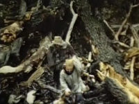  .  (1980) 
