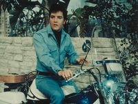    (1967) 
