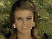   (1965)