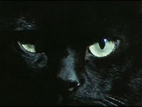      (1972) 
