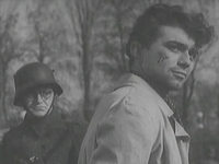   10 (1942) -   -  6