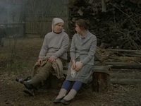    (1985)