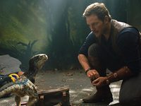    2 (2018) 
