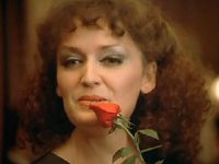  (1981) 
