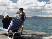   (2006) 
