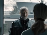   (2017)