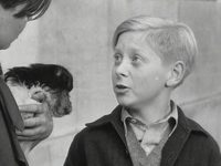    (1953) 
