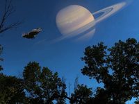  3 (2024) 
