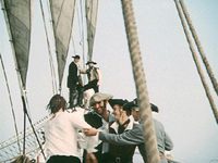 ,    (1982) -  67