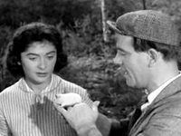  :   (1956) -  14