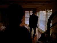  (1995) 
