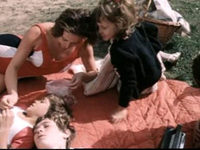   (1986) -  31