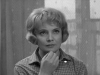   (1966) 
