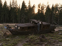 Гоп-стоп (2010) 
фотографии