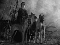   (1963)