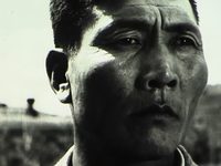   (1969) 
