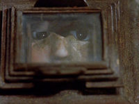  (1991) 
