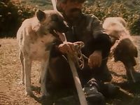      (1988)