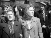    (1955)