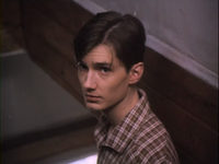    (1995) 

