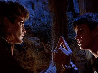   3:    (1984)
